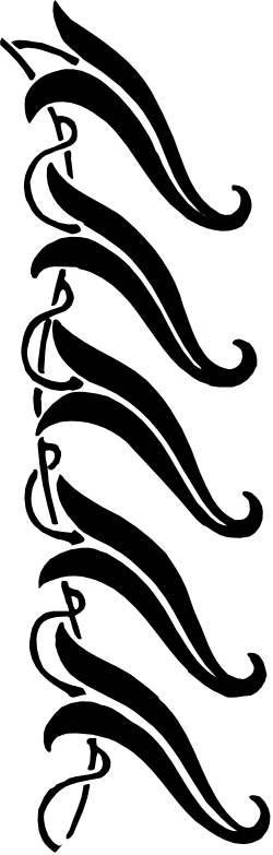 Moon Clipart - Elegant Black and White Borders for Creative Projects