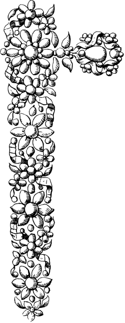 Creative Fish and Rocks Cross Clipart - Unique Borders and Corners Design
