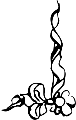 Black and White Flower Clipart - Elegant Borders and Corners Design