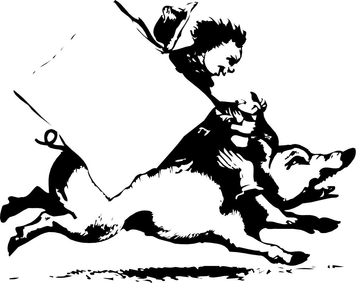 Black and White Bird Clipart - Elegant Border Designs