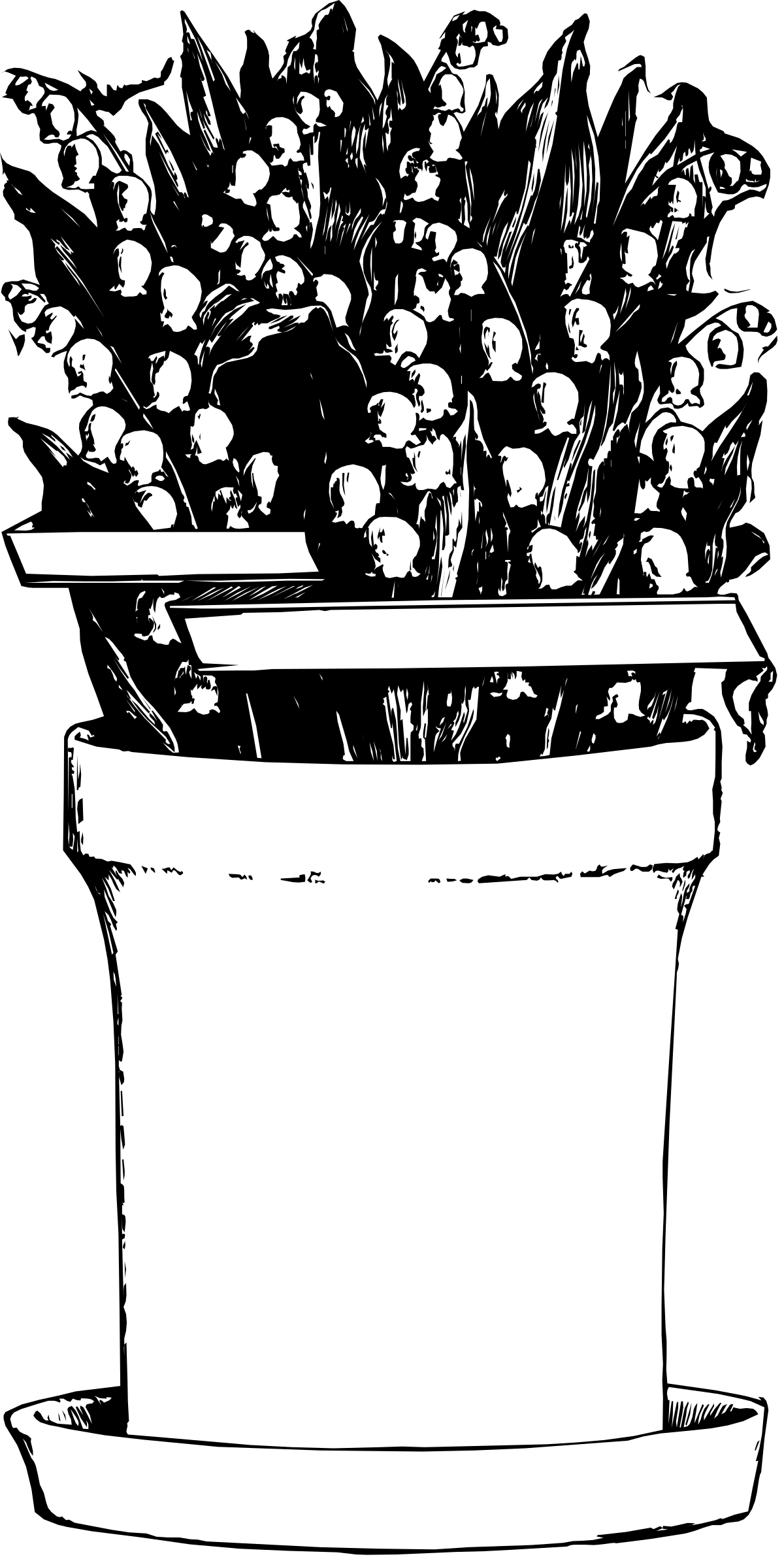 Beautiful Flower Pot Clipart with Borders - Stunning SVG Art