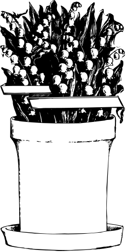 Beautiful Flower Pot Clipart with Borders - Stunning SVG Art