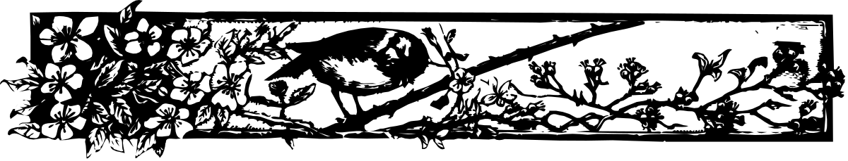 a black and white image of a plant clip art png transparent Black and White Plant Clipart - Elegant Borders Design