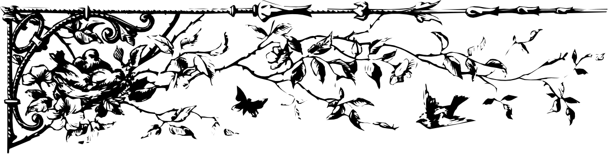 Black and White Beard Man Clipart - Elegant Borders Design