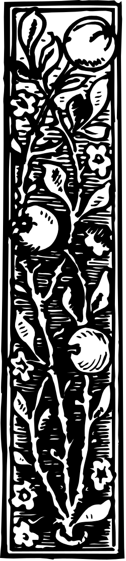 Black and White Square Pattern Clipart - Elegant Borders for Design