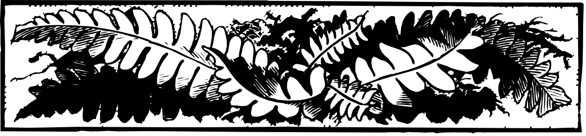 Black and White Plant Clipart | Unique Borders and Decorative Elements