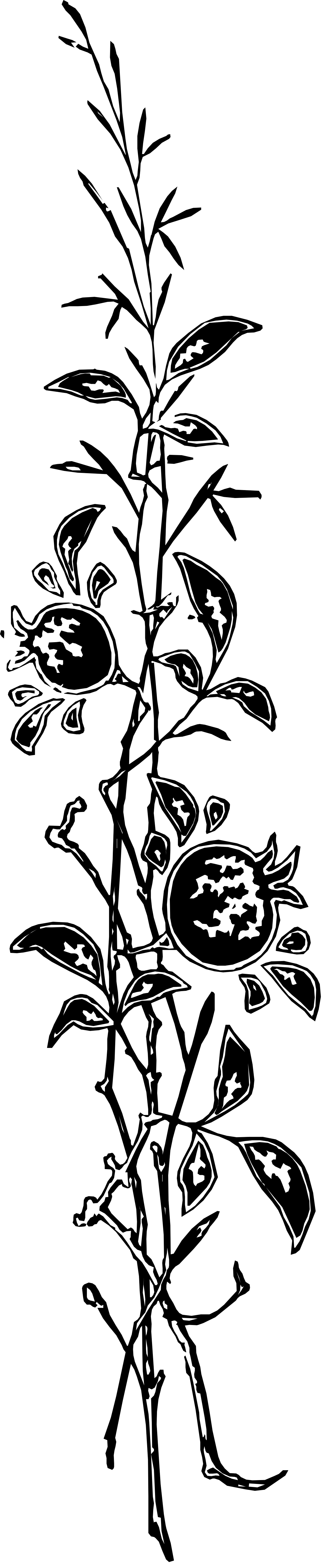 Black and White Water Clipart - Elegant Borders and Minimalist Design