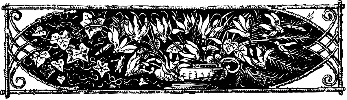 Black and White Plant Clipart - Elegant Borders Design for Your Projects