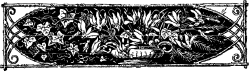 Black and White Plant Clipart - Elegant Borders Design for Your Projects