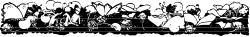 Elegant Black and White Flower Borders Clipart for Creative Projects