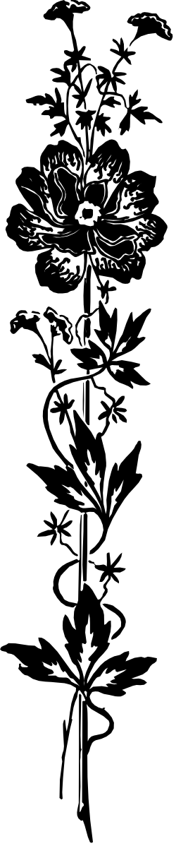 Black and White Bird Flying Over Water Clipart