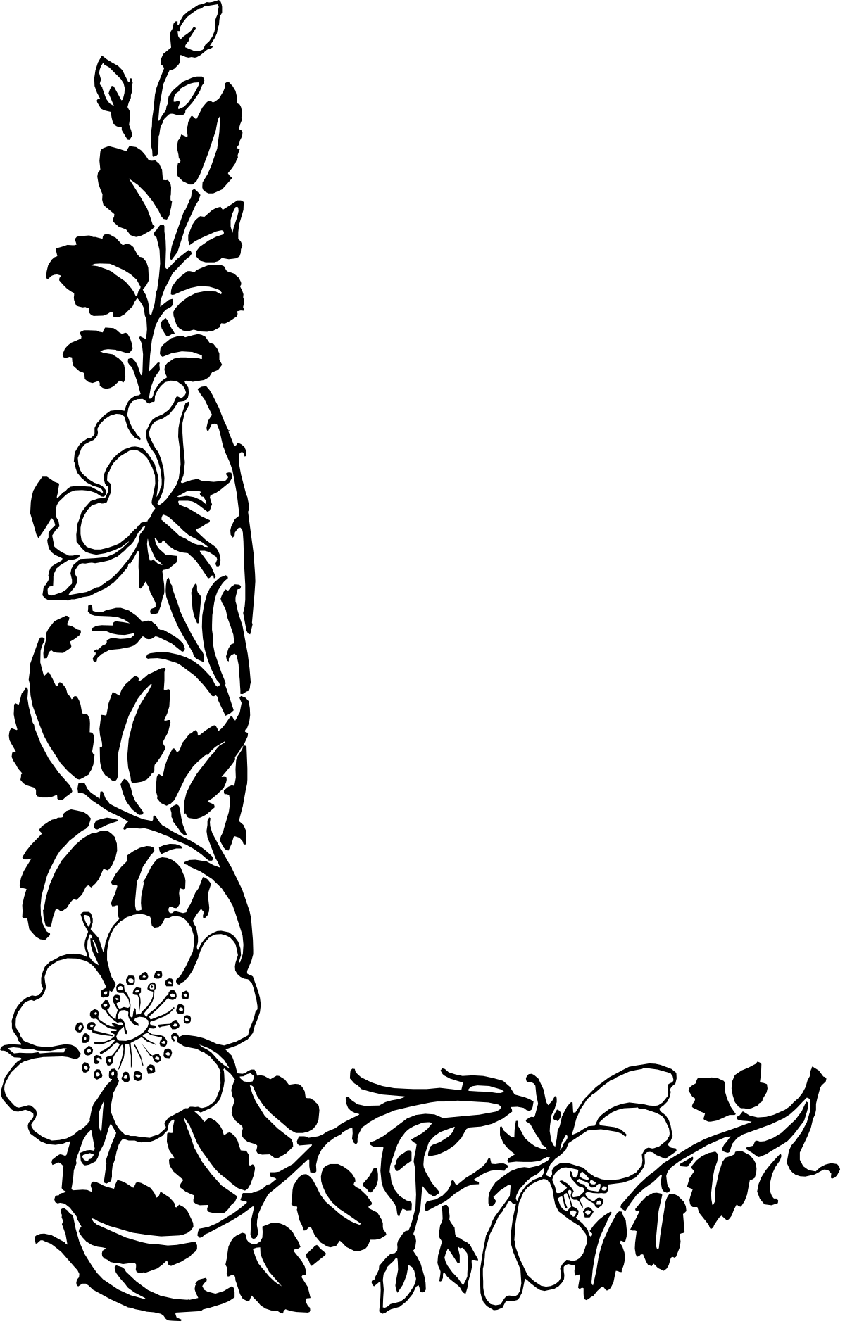 Black and White Flower Background Clipart - Elegant Borders and Corners