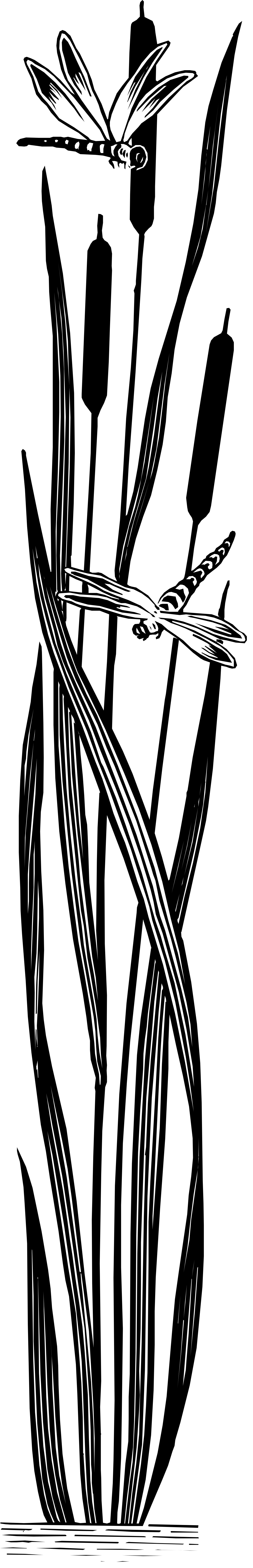 Black and White Man's Face Clipart - Stylish Borders and Versatile Designs