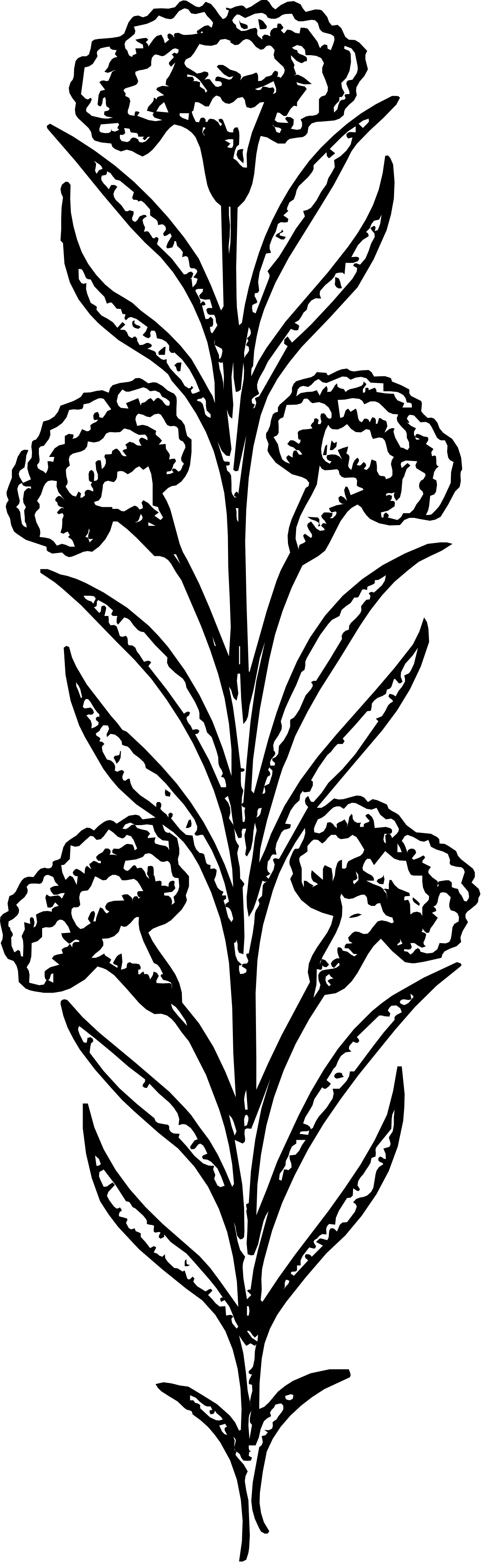 a black and white tree with a white outline clip art png transparent Black and White Tree Clipart with White Outline for Stunning Borders