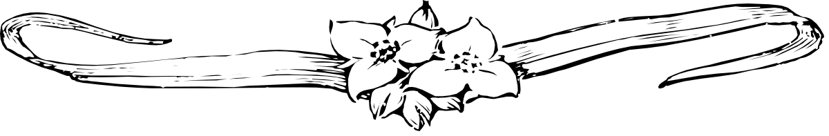 Black and White Man with Beard Clipart - Stylish Borders Design