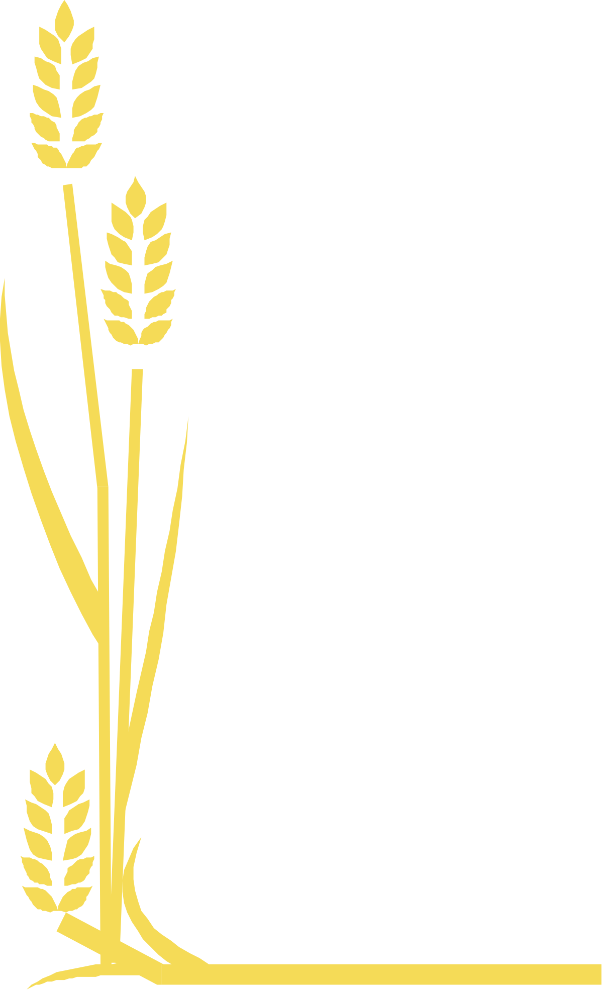 Wheat Borders and Corners Clipart Collection - Elegant Designs for Creative Projects