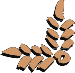 Wheat Borders and Corners Clipart - Black Background Designs