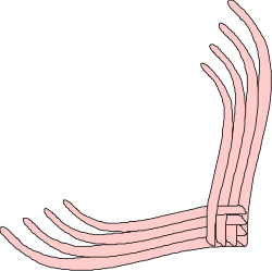 Pink Hand Borders and Corners Clipart for Creative Designs