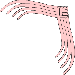 Pink Curved Arm Clipart - Borders & Corners Design