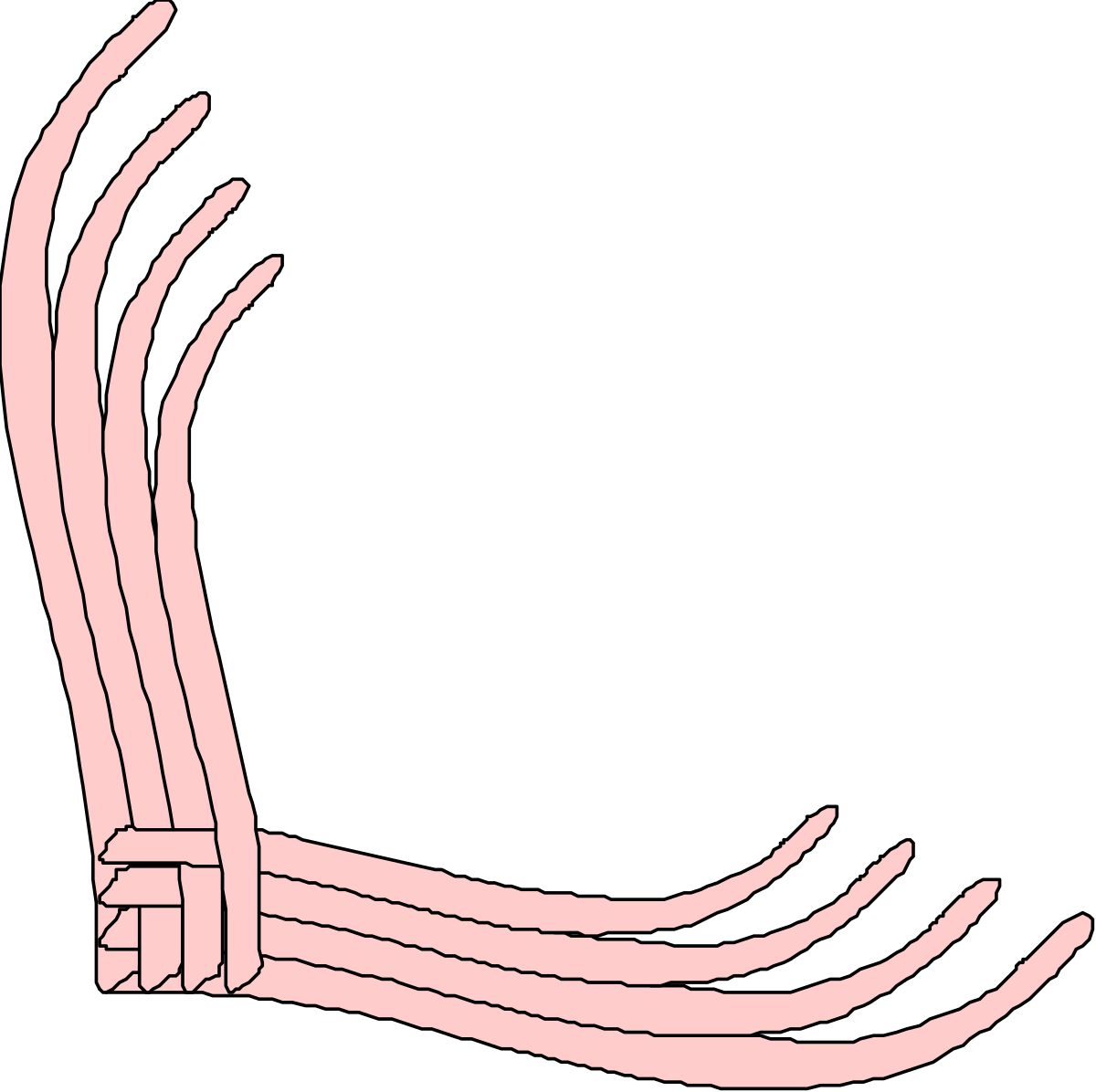 Borders and Corners Clipart: Hand with Wrist and Strap Design