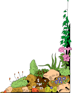 Borders & Corners Clipart: A Plant Thriving from a Pile of Garbage