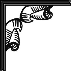 Zebra Print Borders and Corners - Black and White Clipart Design