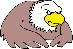 Eagle with Yellow Beak Clipart: Majestic Bird Illustration