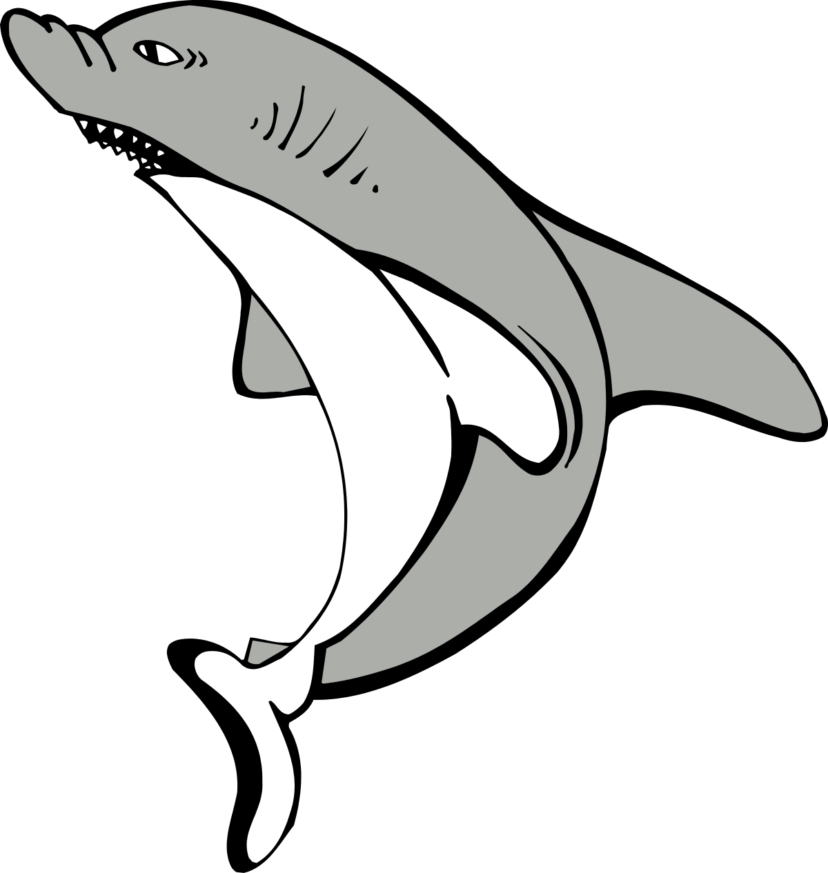 Shark Open Mouth Clipart  Realistic Marine Predator Illustration