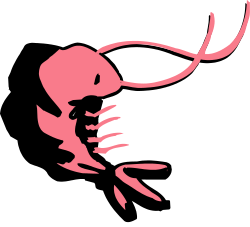 Pink Scorpion Silhouette Clipart  Perfect for Creative Projects