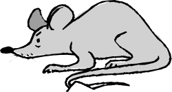 Rat Sitting on Black Background - Detailed Clipart Illustration