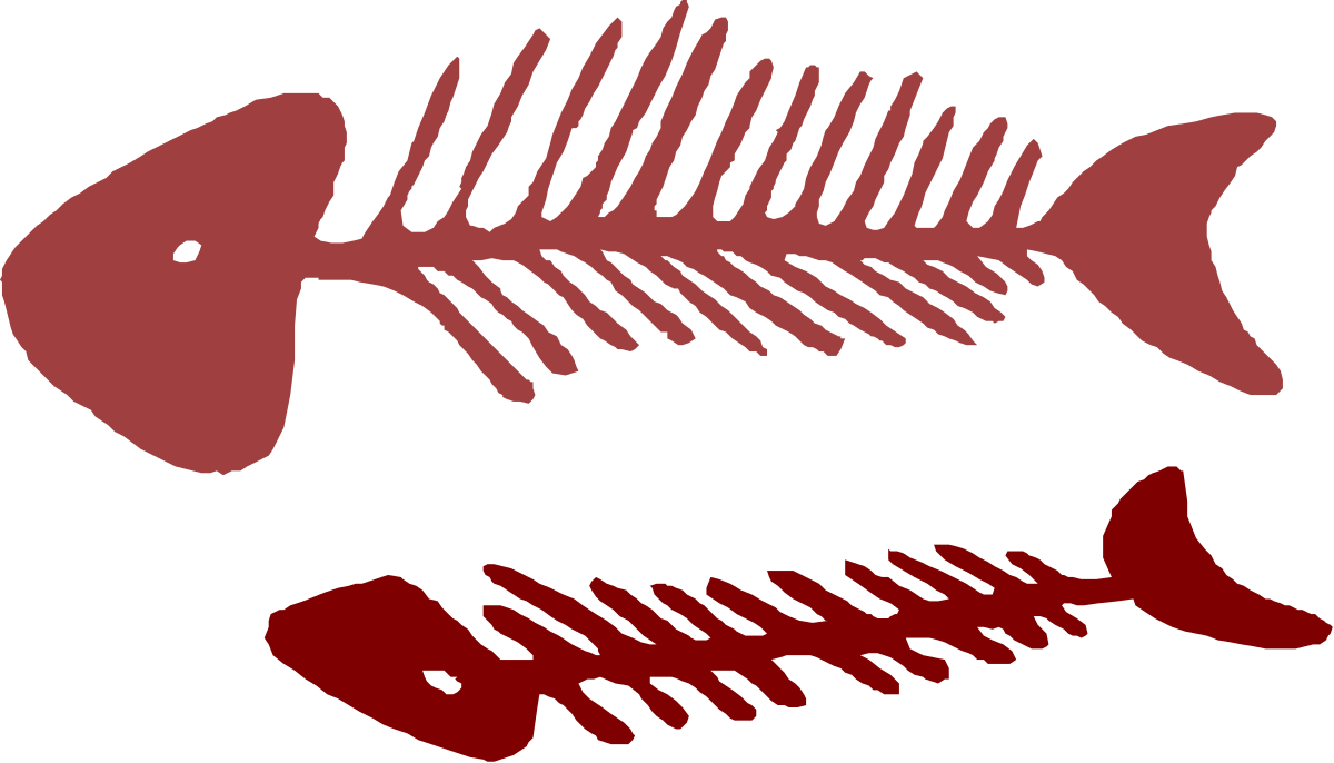 Fish Skeleton Clipart: Detailed Fishbone Design for Creative Uses