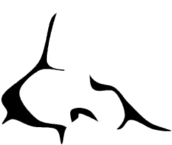 White Dove Silhouette Clipart - Elegant Bird Design on Black Background