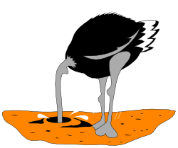Black and White Dog Standing on Red Ground Clipart