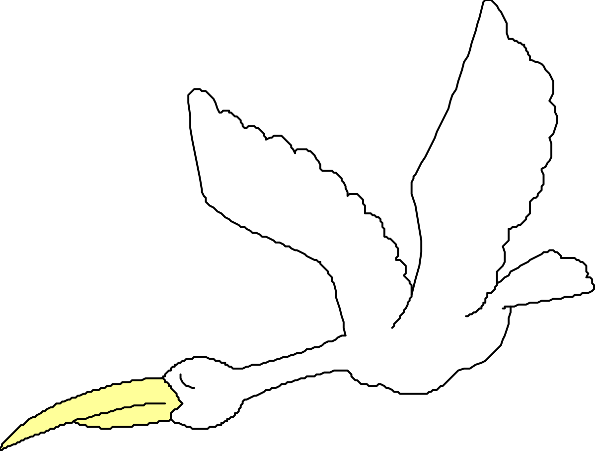 White Dove with Yellow Wing - Beautiful Clipart for Peace