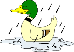 Duck Wearing Green Hat with Brown Beak Clipart