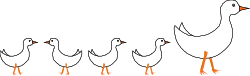 Ducks in a Row Clipart: Charming Group of Ducks Standing in Line