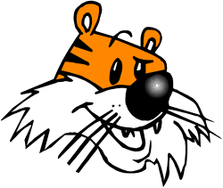 Tiger Head Clipart on Black Background - Vivid Animal Illustration