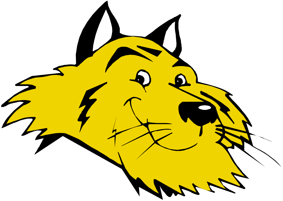 Yellow Lion Head Clipart on Black Background - Bold and Eye-Catching Design