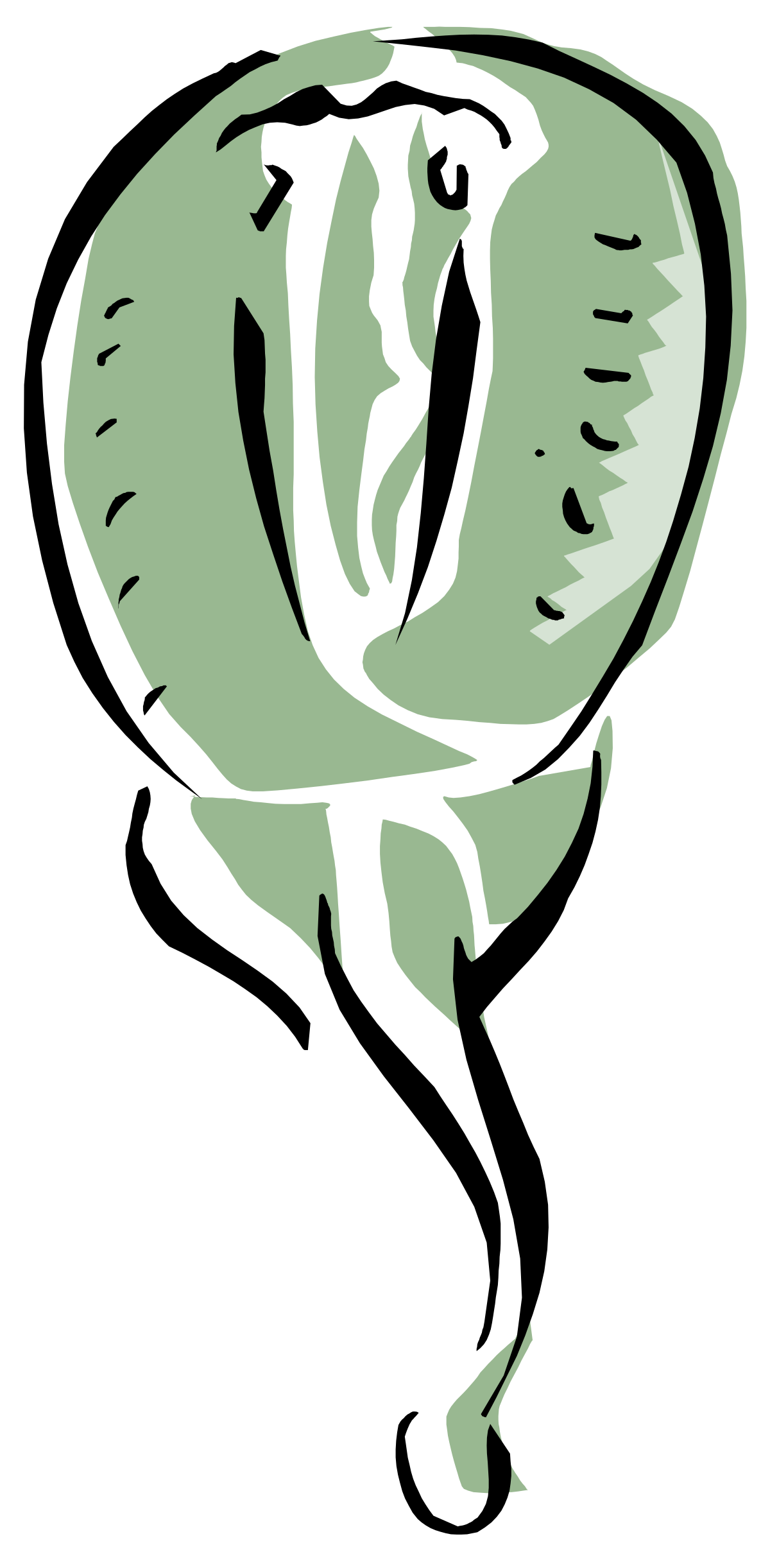 Green Cat Head on Black Background - Unique Clipart for Your Projects