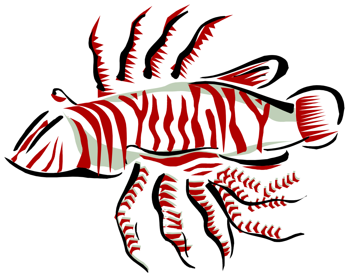 a zebra fish with a red and white stripe clip art png transparent Zebra Fish Clipart with Striking Red and White Stripes