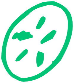 Green and White Circle Clipart - Fresh and Vibrant Design