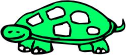 Green Turtle with White Shell Clipart for Creative Projects