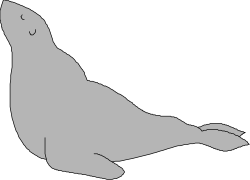 Seal Clipart - Adorable and Playful Seal Illustrations for Your Projects