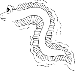 White Seahorse Clipart with Black Background - Perfect for Your Creative Projects