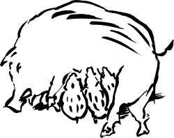 Black and White Cat Standing in Darkness - Captivating Clipart Scene