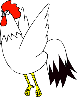 White Chicken with Red Head and Yellow Feet Clipart