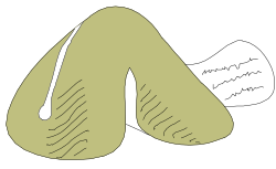 Stylish Pair of Shoes Clipart for Creative Projects