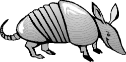 Armadillo Clipart: Vibrant Animal Illustrations for Your Projects