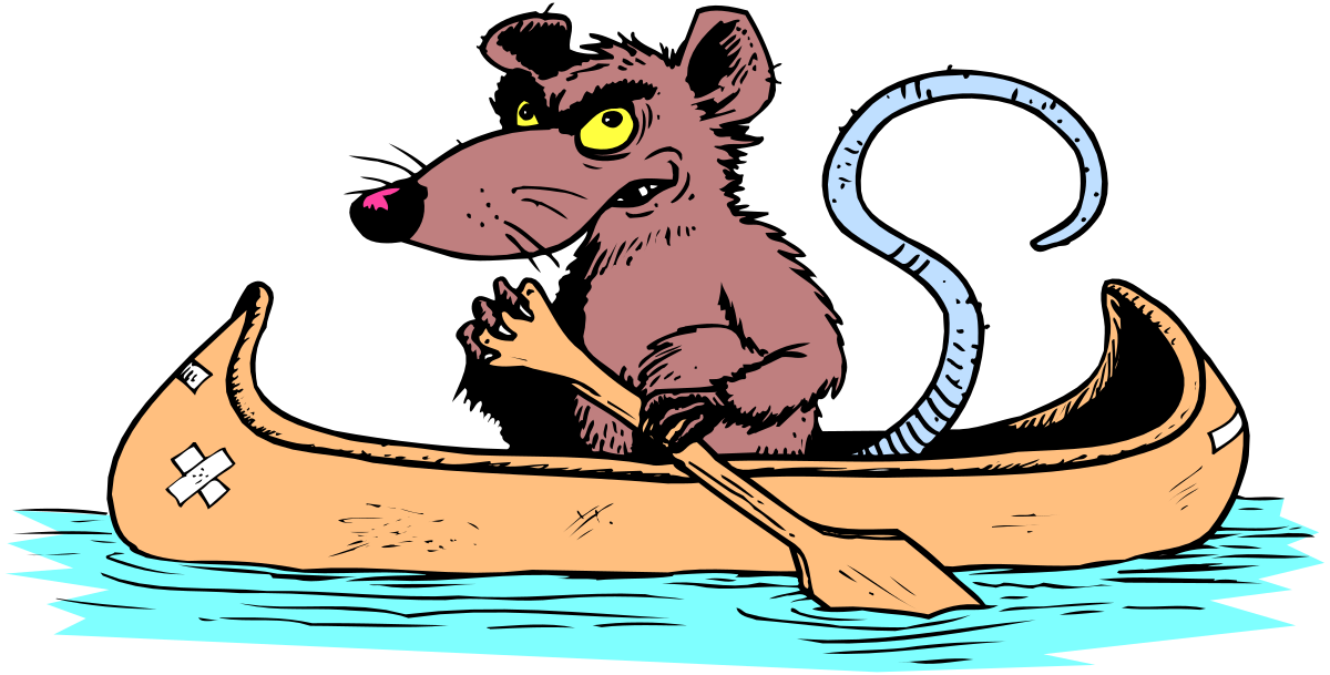 a cartoon rat in a canoe clip art png transparent Cartoon Rat in a Canoe Clipart for Fun Designs