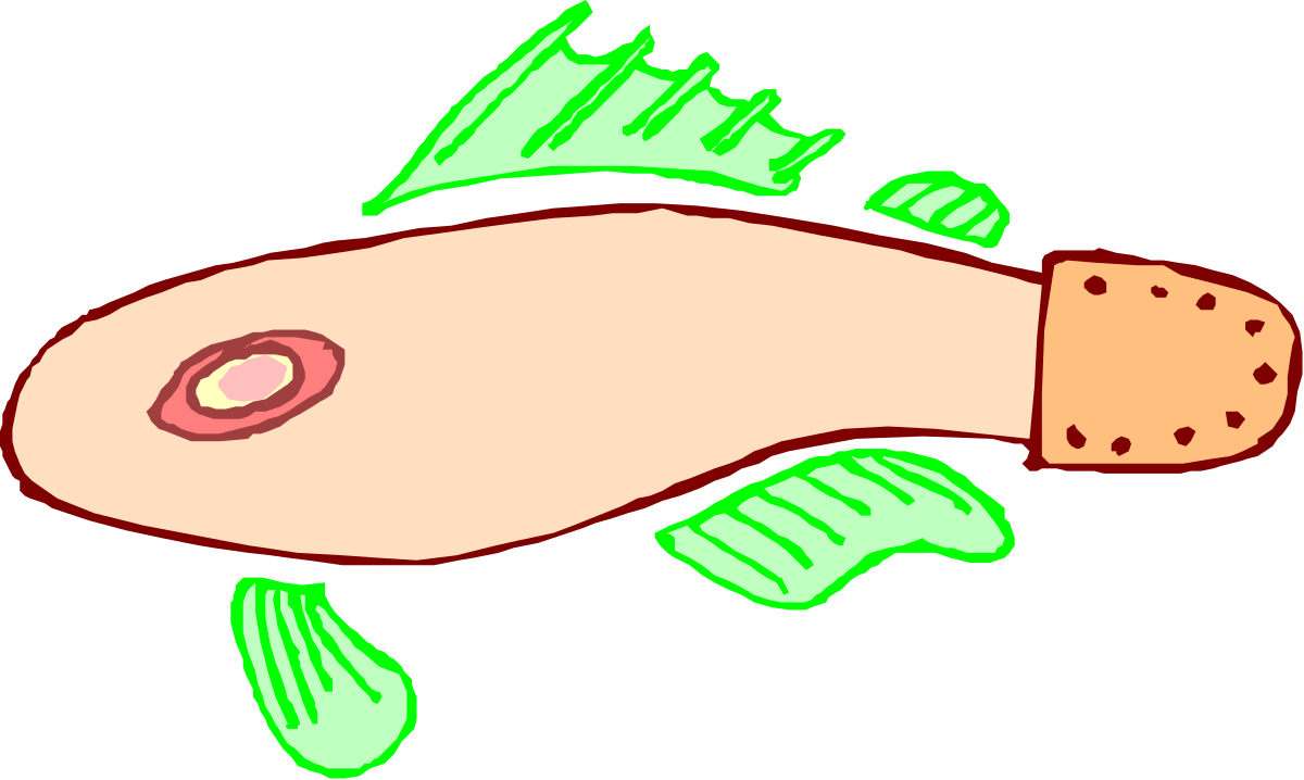 a cartoon fish with a piece of meat on it ' s back clip art png transparent Cartoon Fish with Meat on Back Clipart - Fun and Whimsical Design